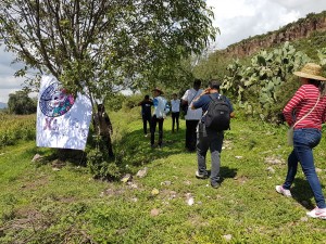 20170720_153806-300×225