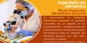 Ing_Alimentos