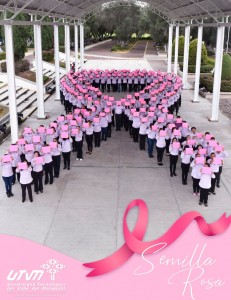 SEMILLAROSA3-231×300