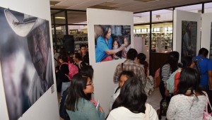 fotogaleria-300×170