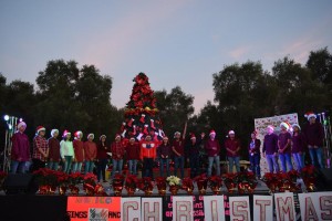 navidad-2017-300×200