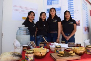 proyectoIntegrador-300×200