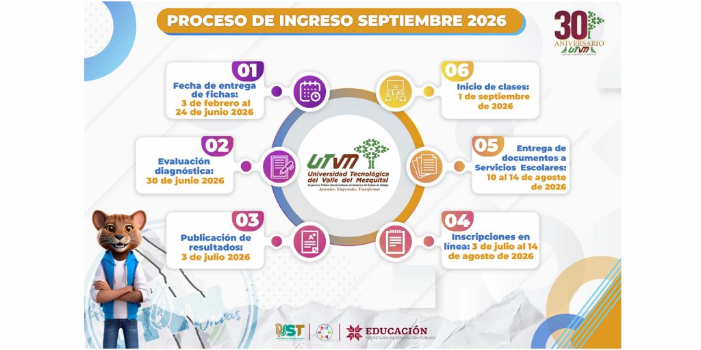 Infografía proceso de Ingreso